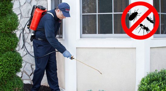 Of Hamam Böceği İlaçlama böcek ilaçlama ve haşere kontrolü — ilaclama-tr.com